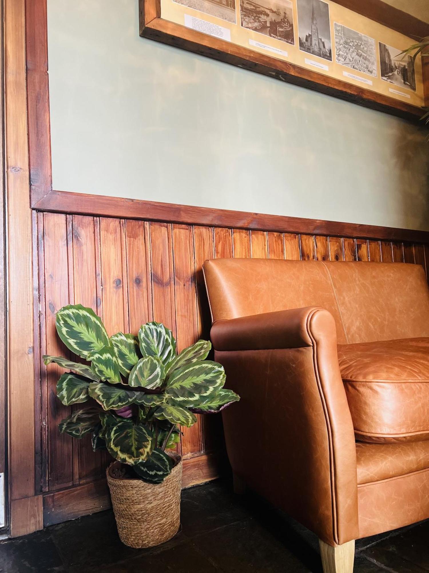 Tuckers Inn Инвергордън Екстериор снимка