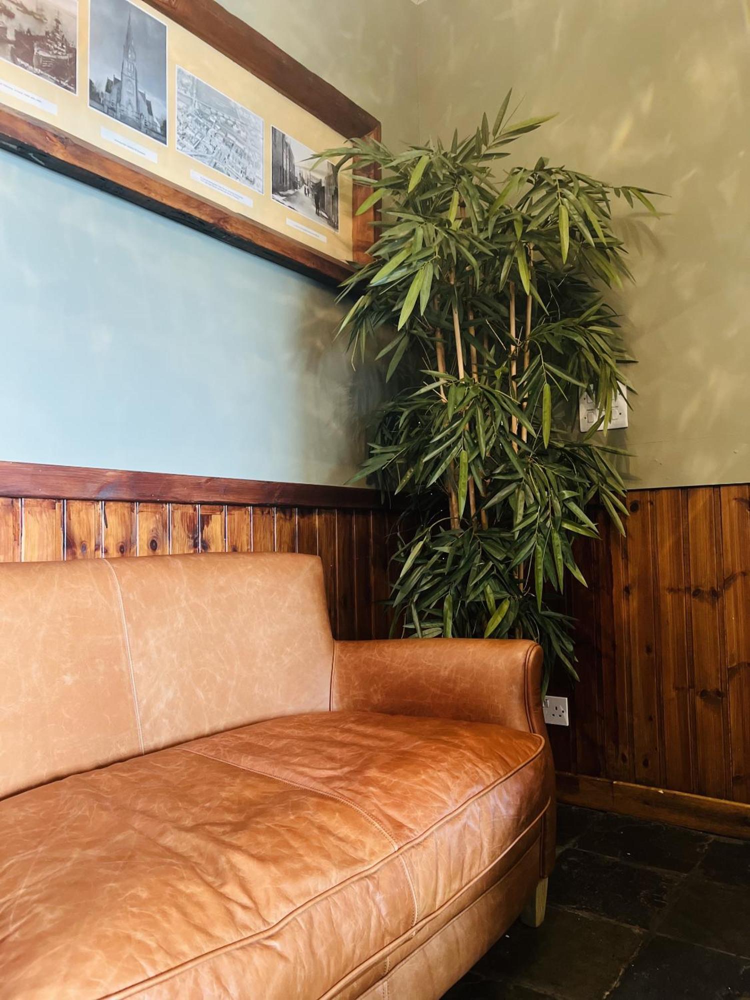 Tuckers Inn Инвергордън Екстериор снимка